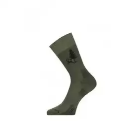 Носки Lasting LFSL 620, cotton+polyamide, зеленый с рисунком, размер M , LFSL620-M