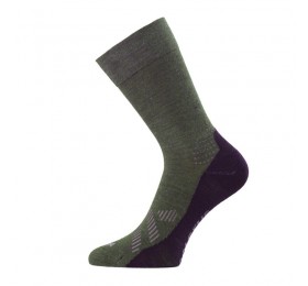 Носки Lasting FWJ 669S, wool+polyamid,зеленый, размер S, FWJ-669S