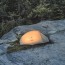 Палатка Naturehike Cloud up Pro CNK2350WS020 одноместная песочный