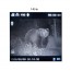 Монокуляр ночного видения Veber DigiView NM-02 цифровой Монокуляр ночного видения Veber DigiView NM-02 цифровой