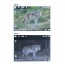 Монокуляр ночного видения Veber DigiView NM-03 цифровой Монокуляр ночного видения Veber DigiView NM-03 цифровой