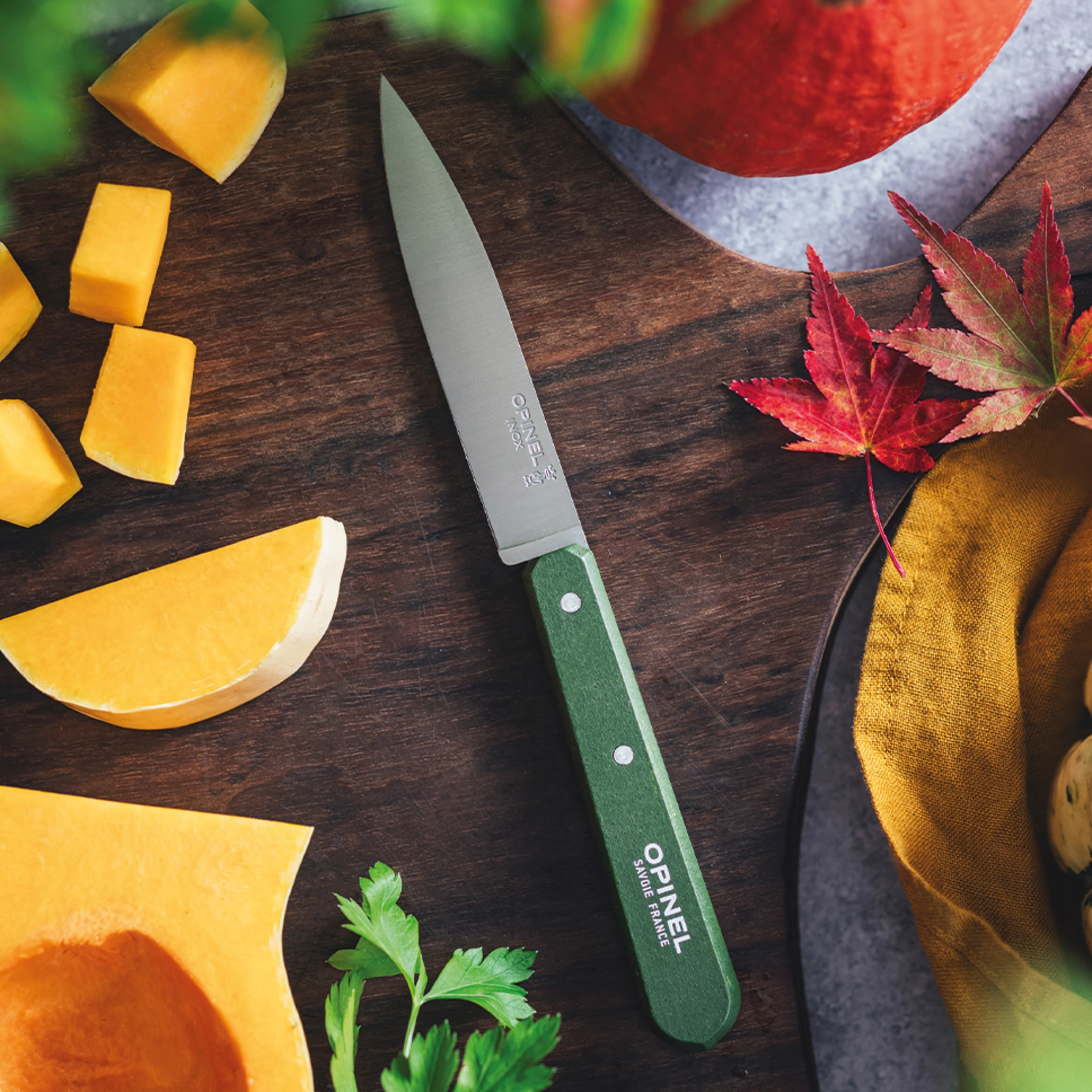 Нож столовый Opinel №112, деревянная рукоять, блистер, нержавеющая сталь, темно-зеленый 003118 Нож столовый Opinel №112, деревянная рукоять, блистер, нержавеющая сталь, темно-зеленый 003118