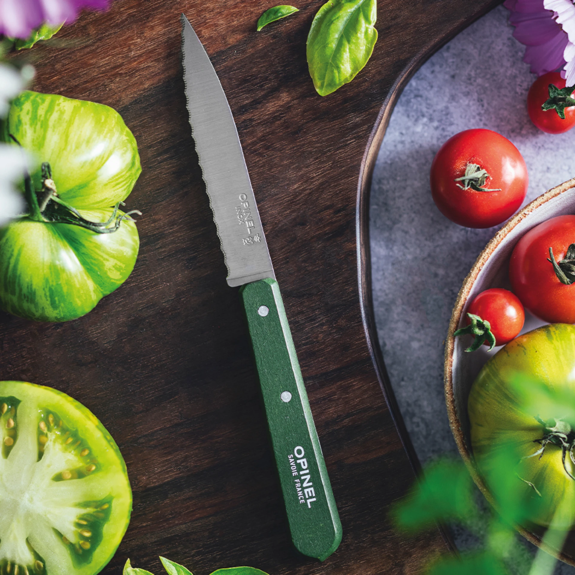 Нож столовый Opinel №113, деревянная рукоять, блистер, нержавеющая сталь, темно-зеленый 003122 Нож столовый Opinel №113, деревянная рукоять, блистер, нержавеющая сталь, темно-зеленый 003122